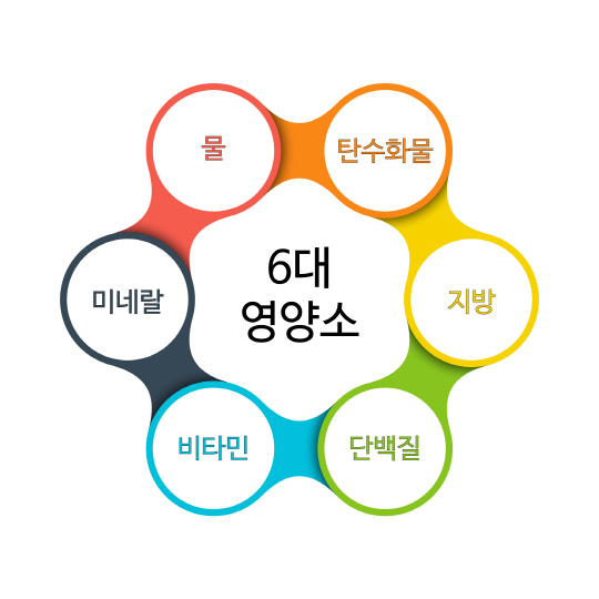 필수영양소식단무기질