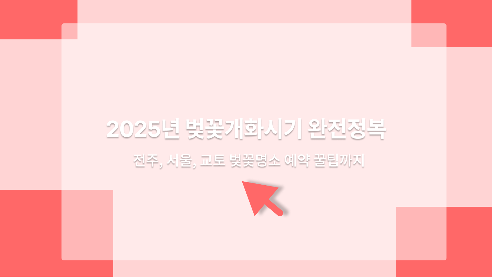 벚꽃개화