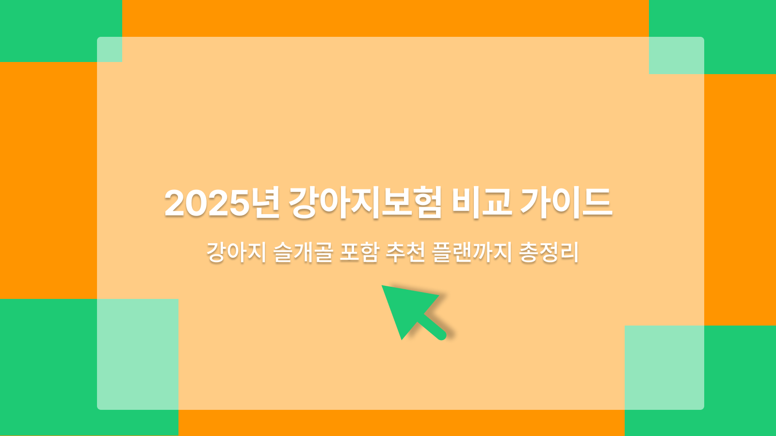 강아지보험