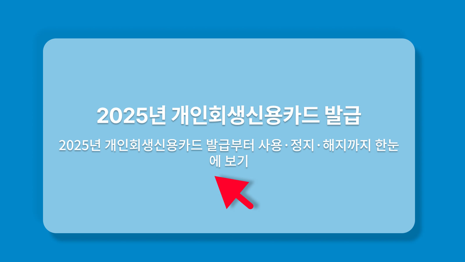 개인회생신용카드