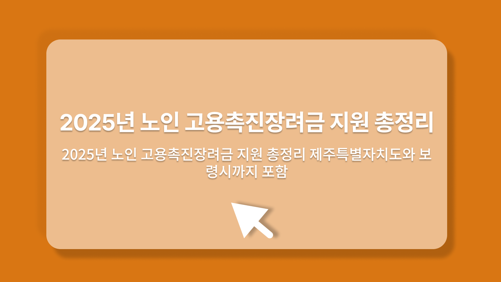노인 고용촉진장려금 지원
