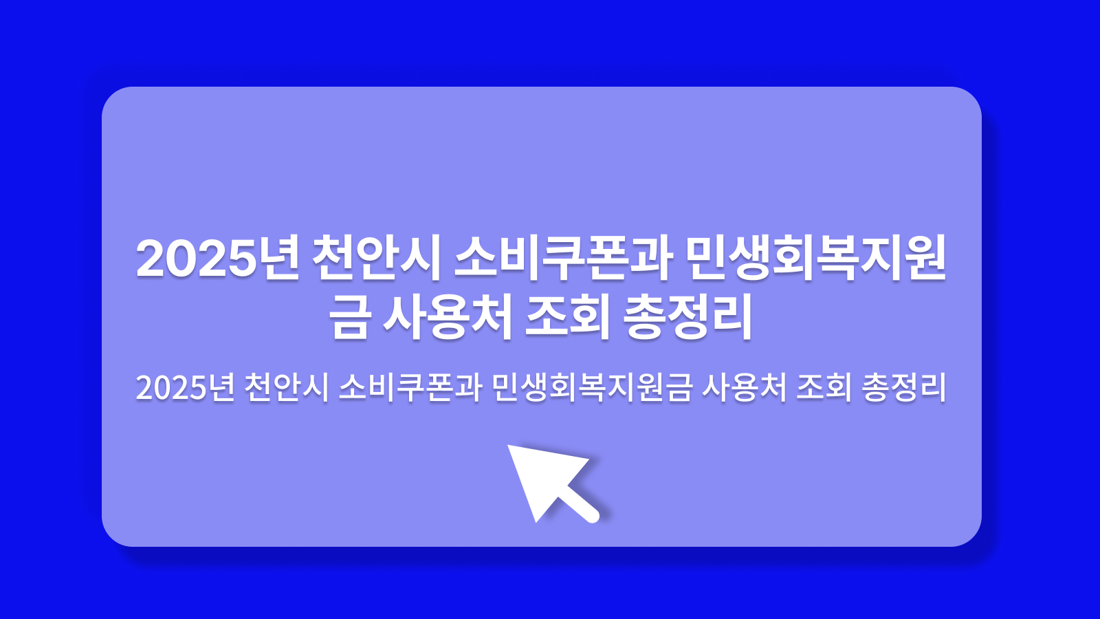 천안시 소비쿠폰