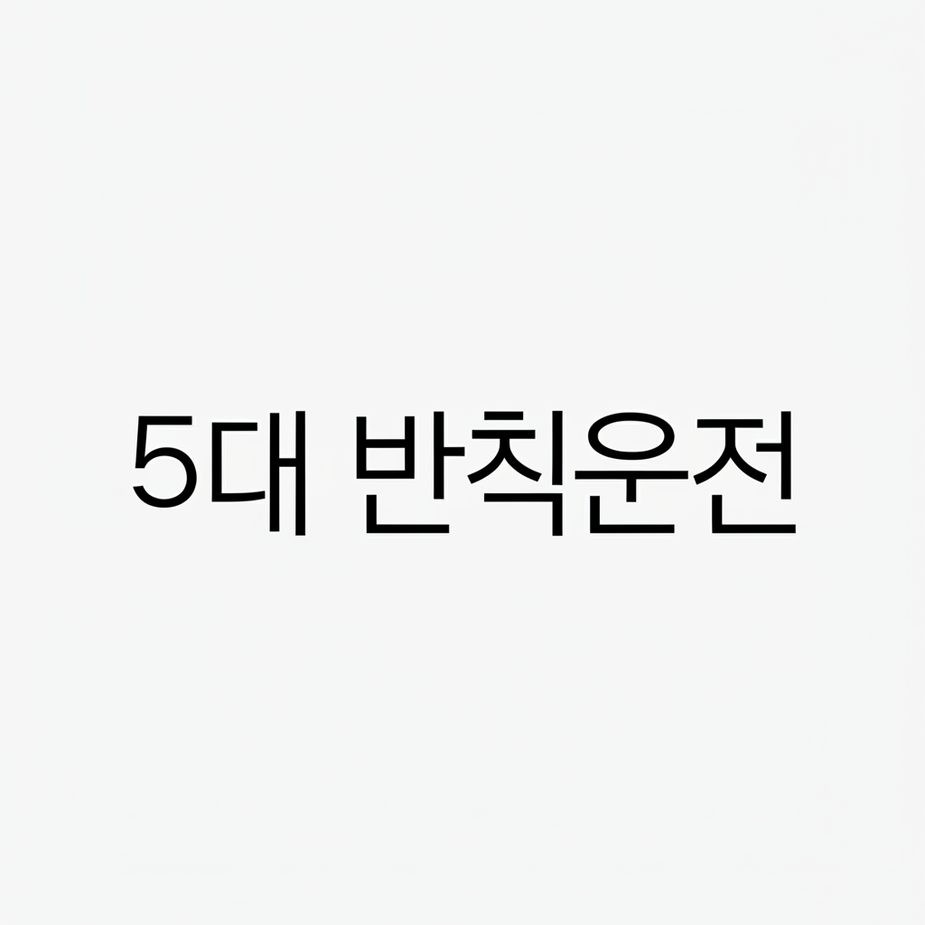 5대 반칙운전