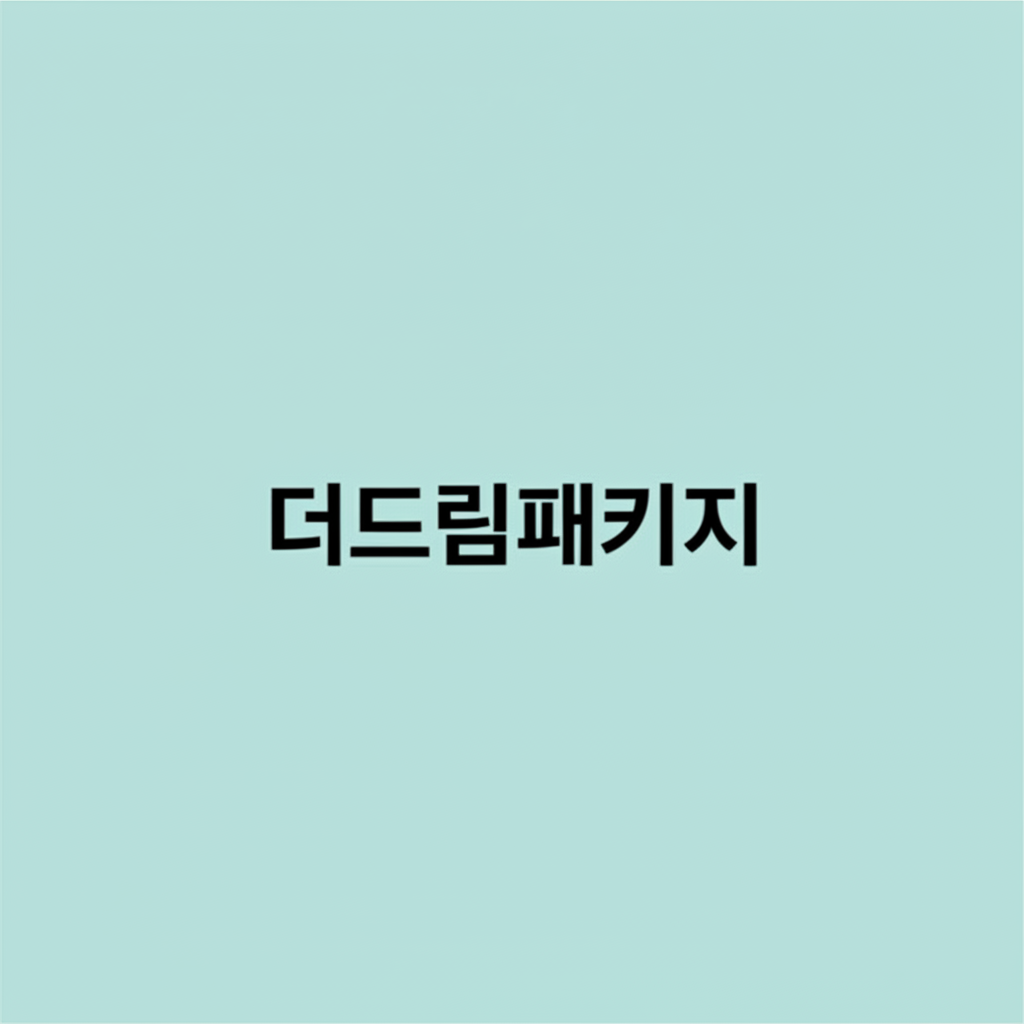 더드림패키지