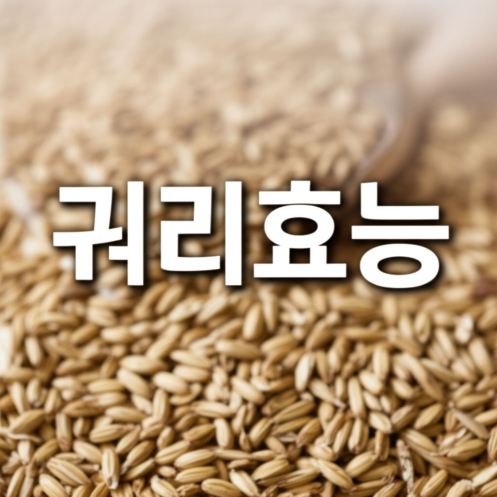 귀리효능