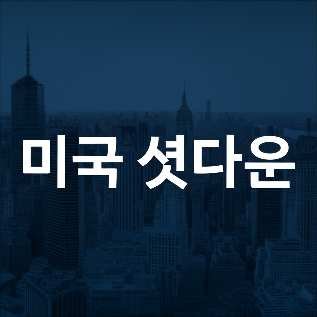 미국 셧다운