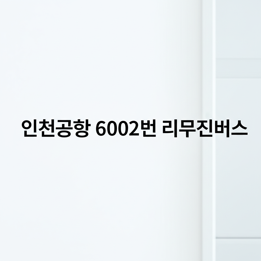 인천공항 6002번 리무진버스
