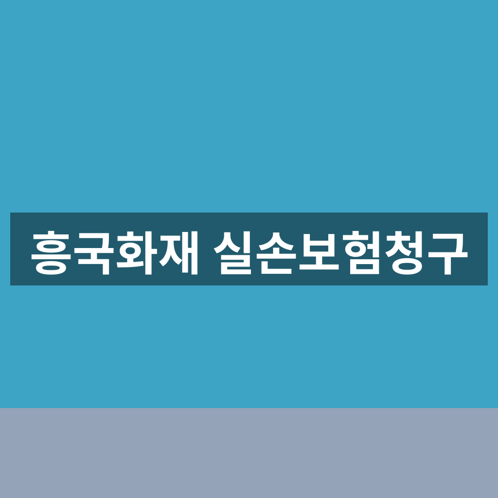 흥국화재 실손보험청구