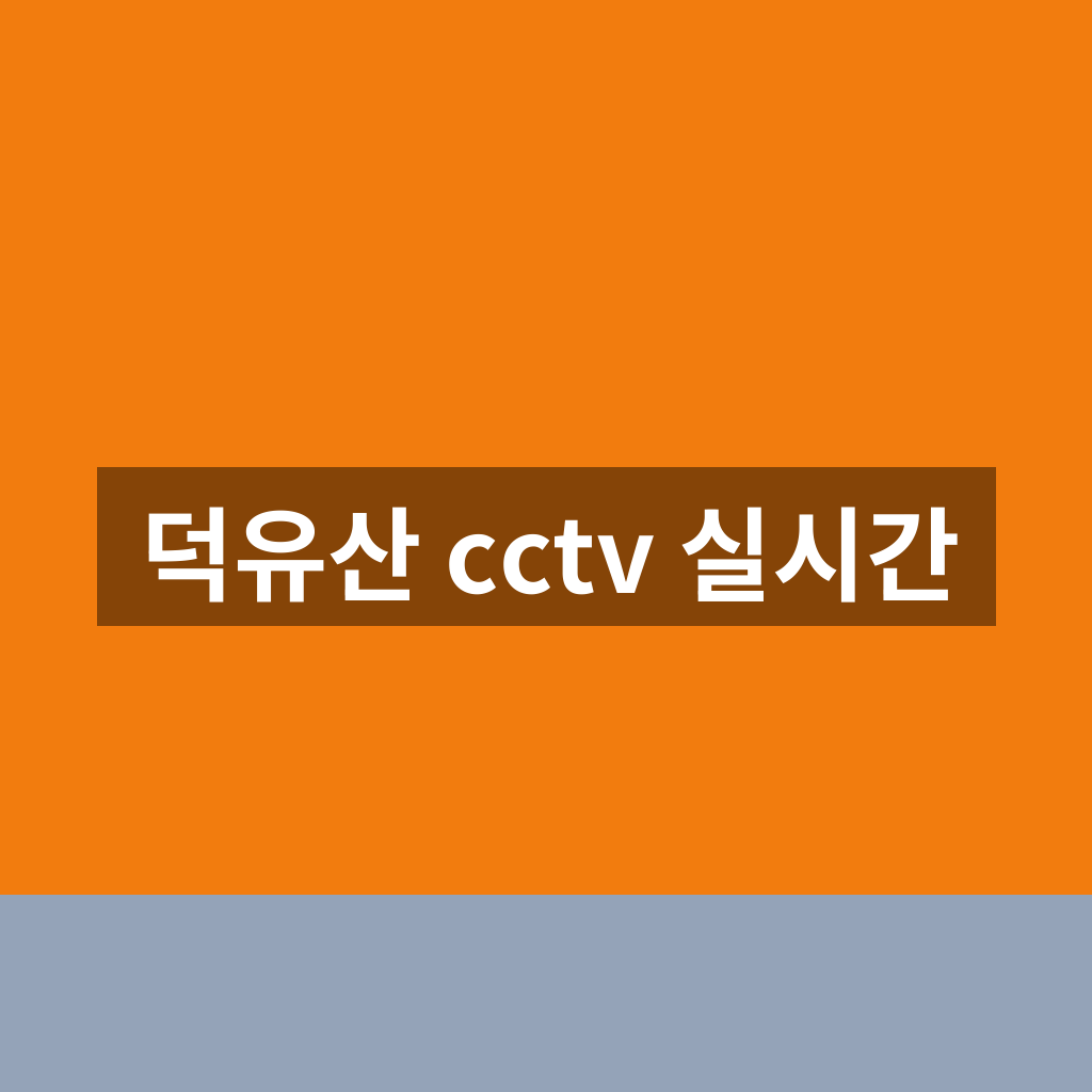 덕유산 cctv 실시간