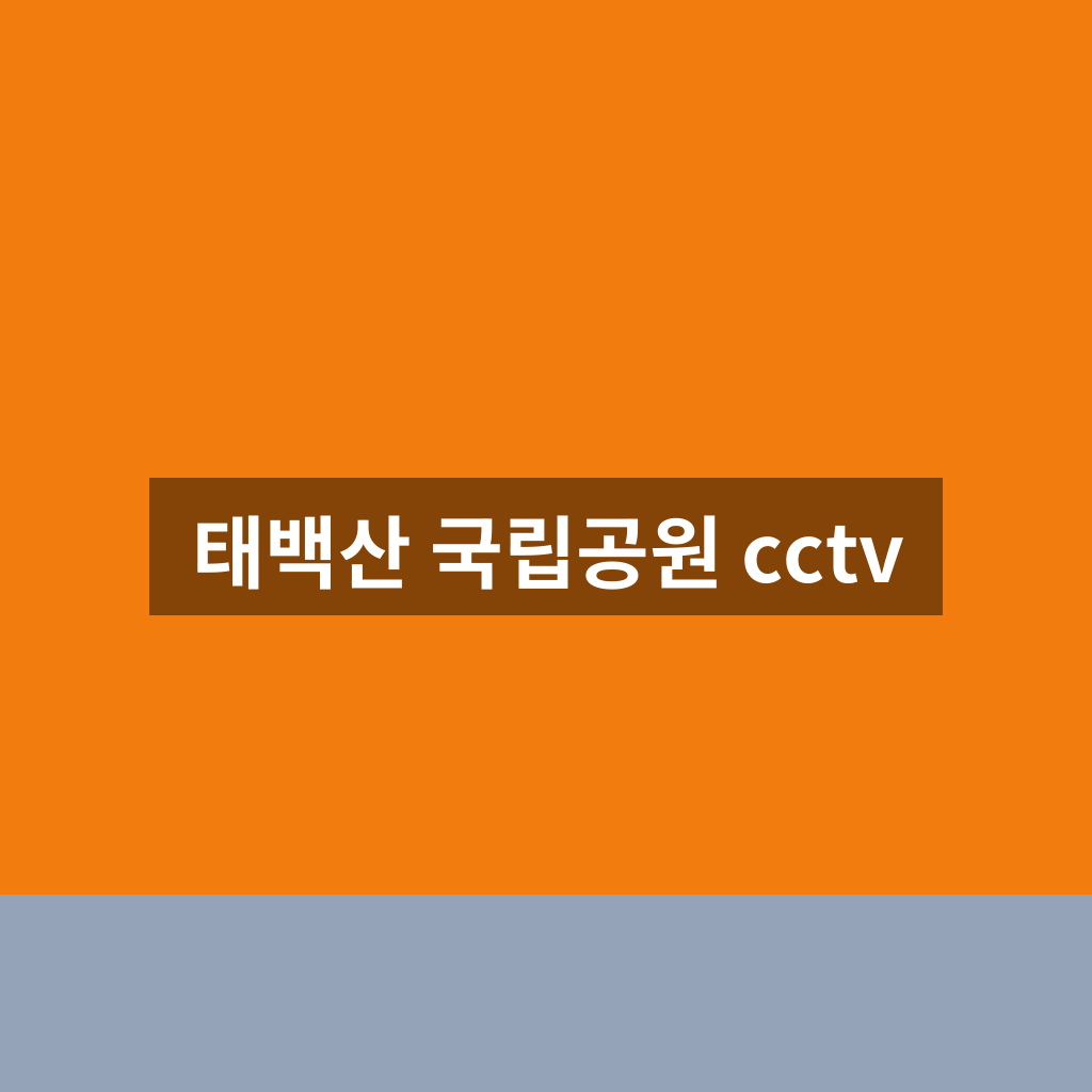 태백산 국립공원 cctv