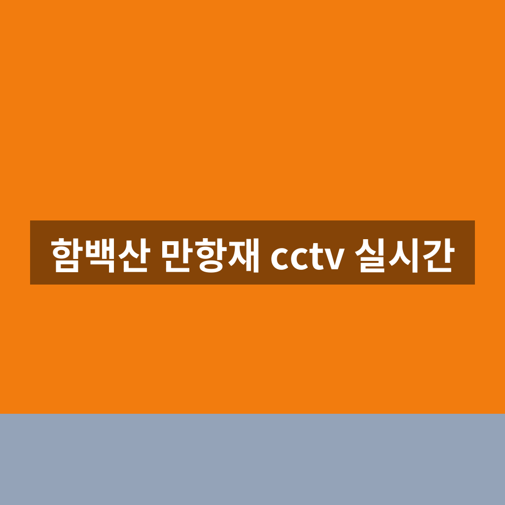 함백산 만항재 cctv 실시간