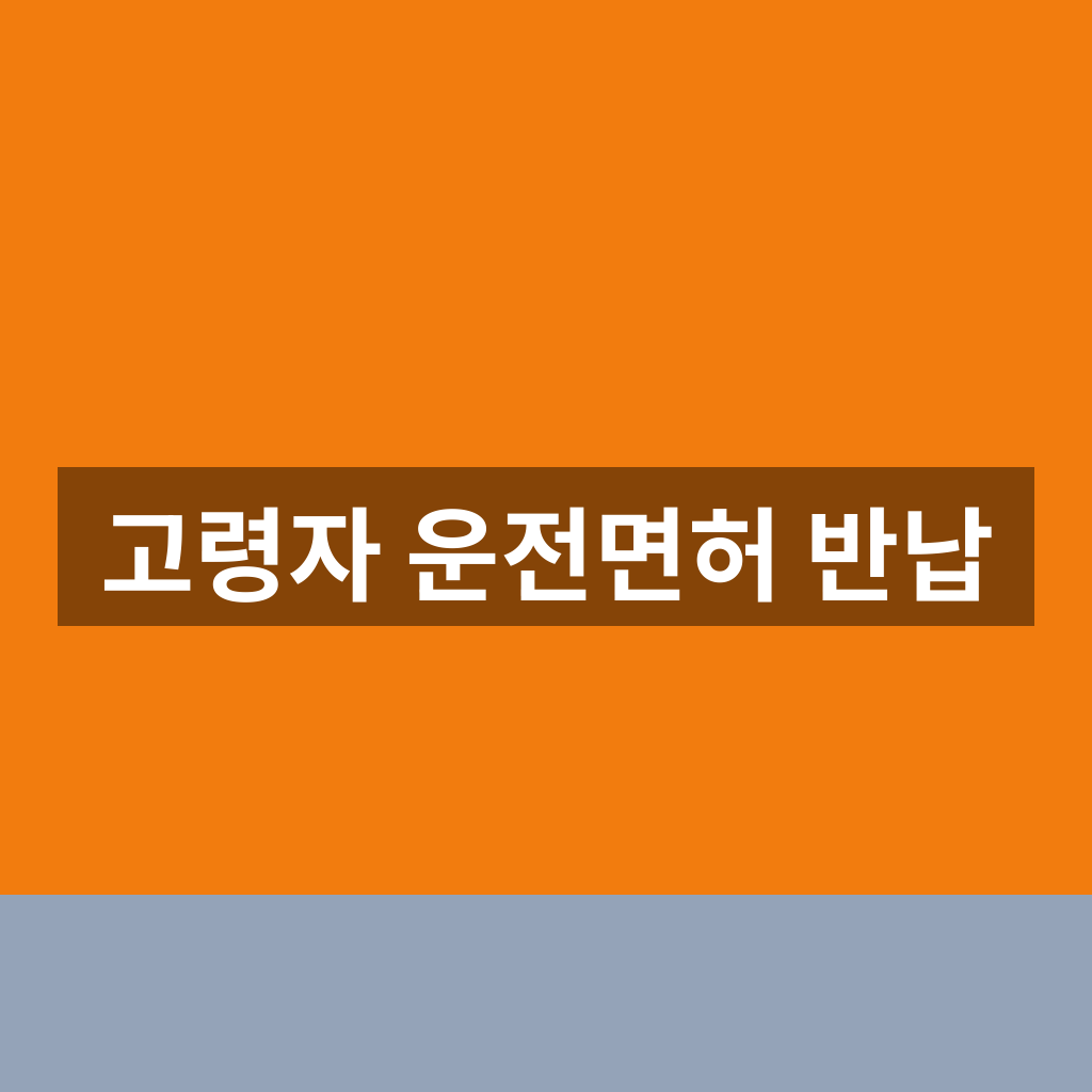 고령자 운전면허 반납 정부24 신청 1분만에 확인하는법