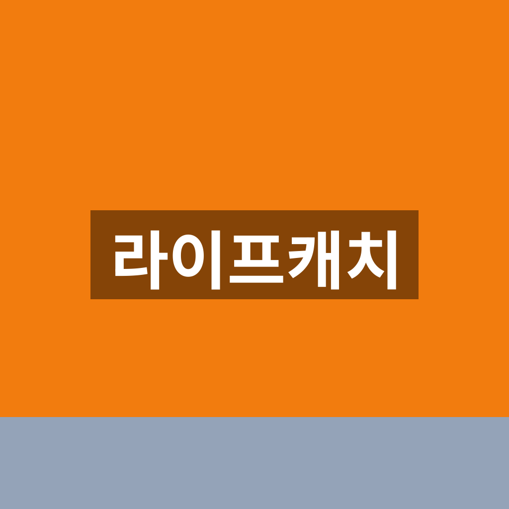 라이프캐치