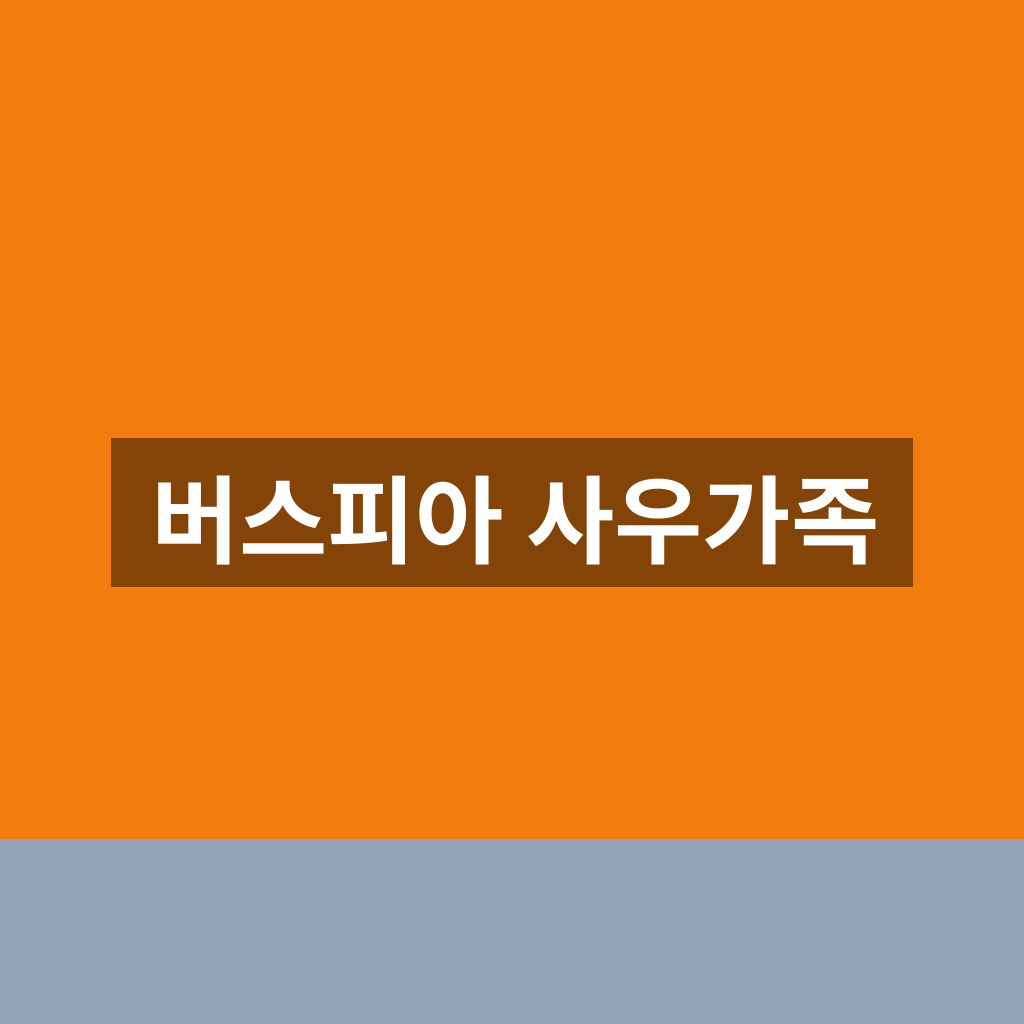 버스피아 사우가족 바로가기 로그인 1분만에 찾는법