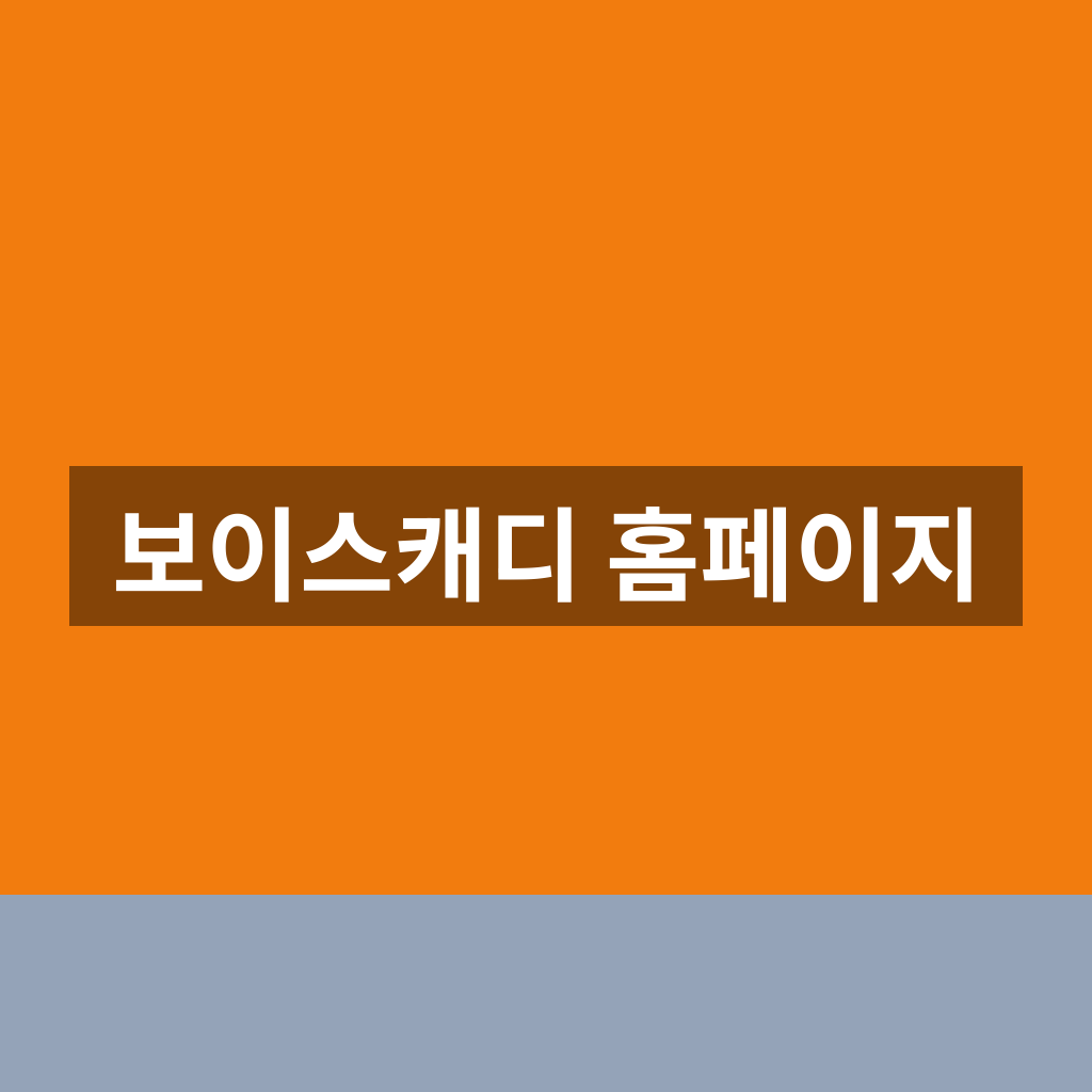 보이스캐디 홈페이지