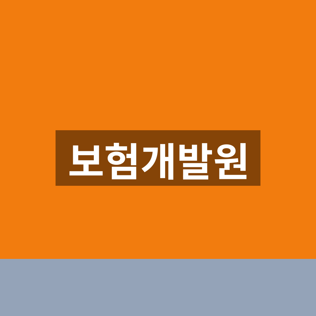 보험개발원