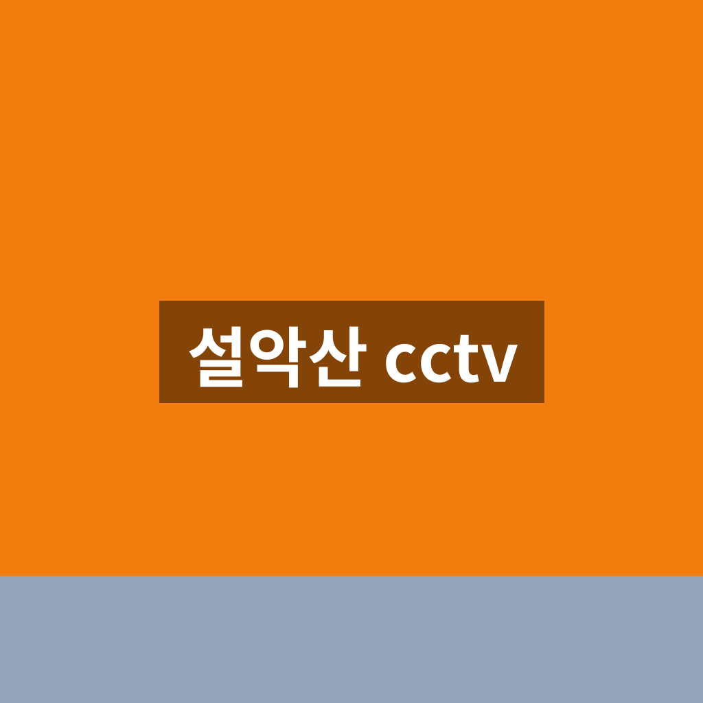 설악산 cctv