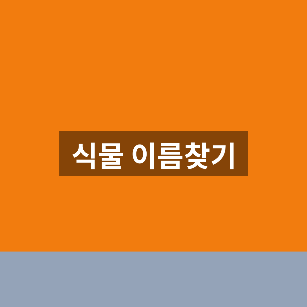 식물 이름찾기
