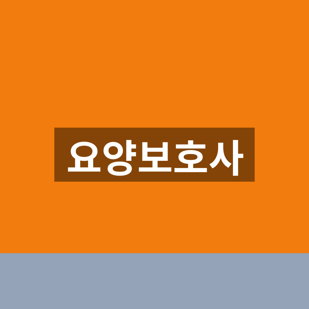 요양보호사