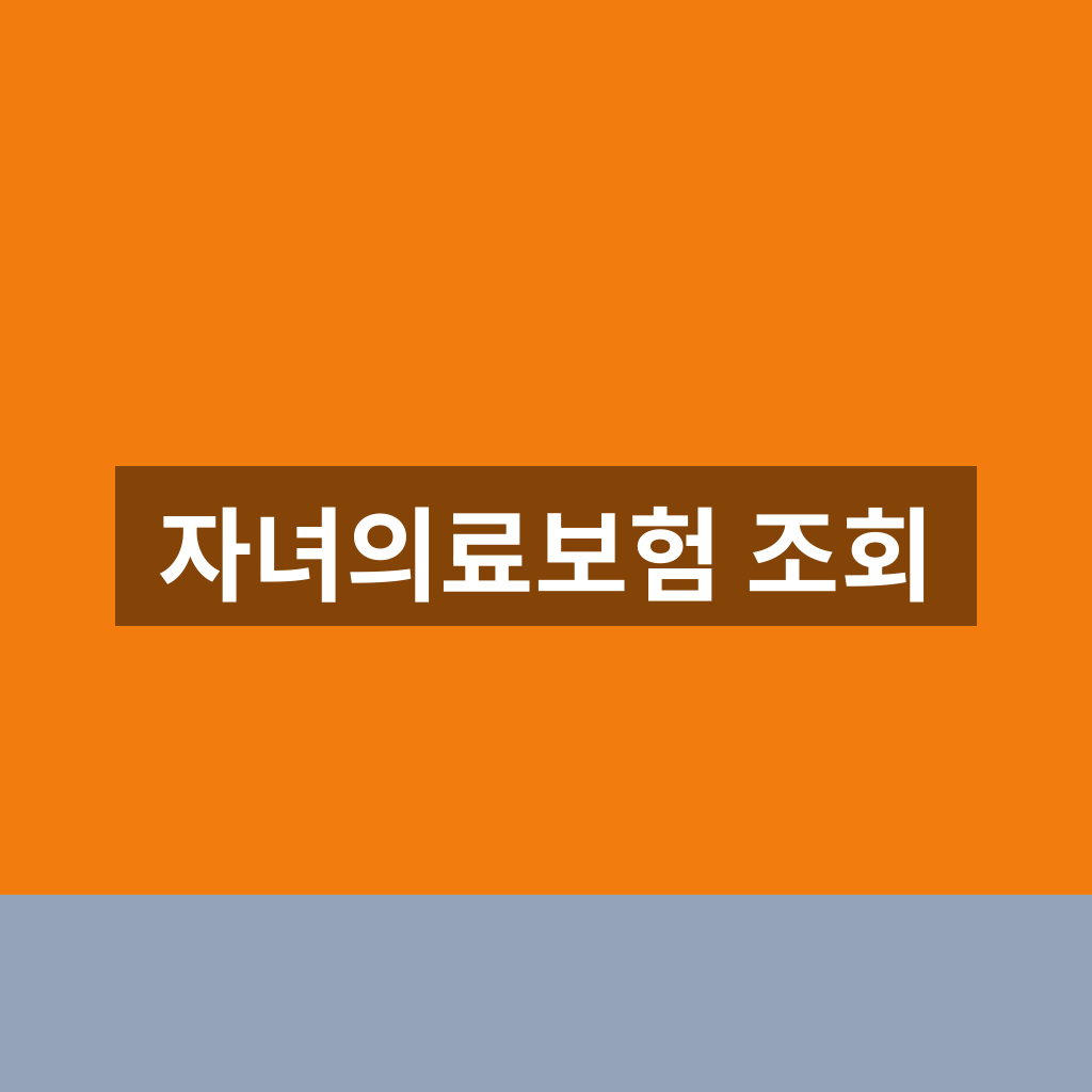 자녀의료보험 조회