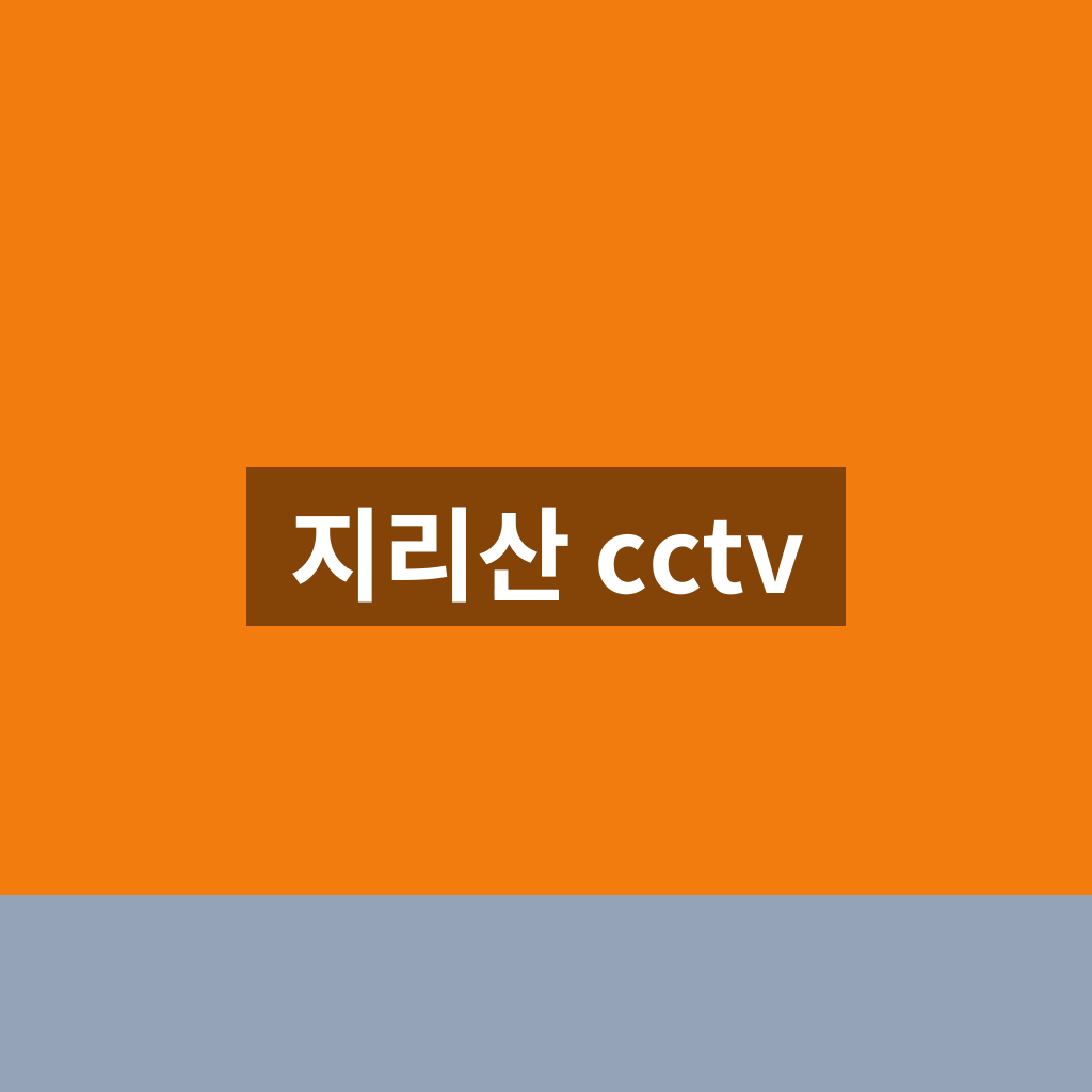 지리산 cctv