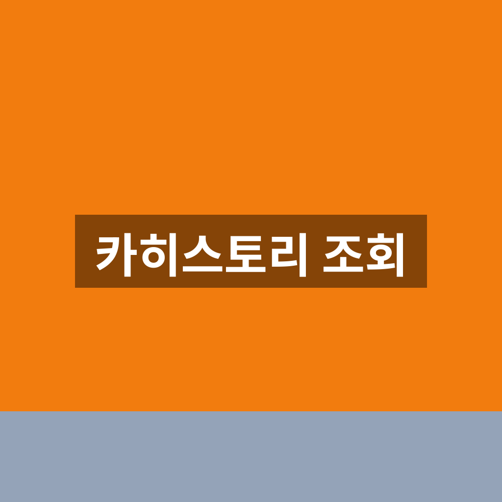 카히스토리 조회