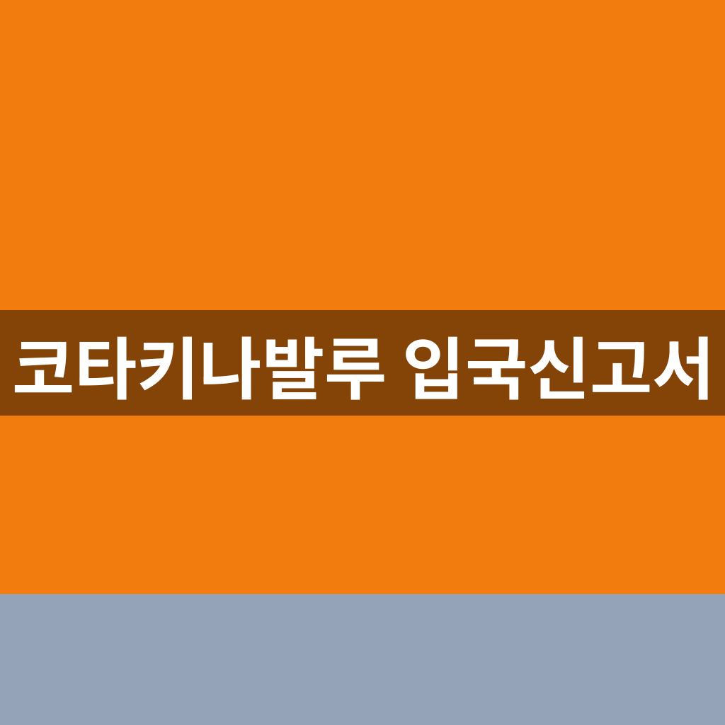 코타키나발루 입국신고서