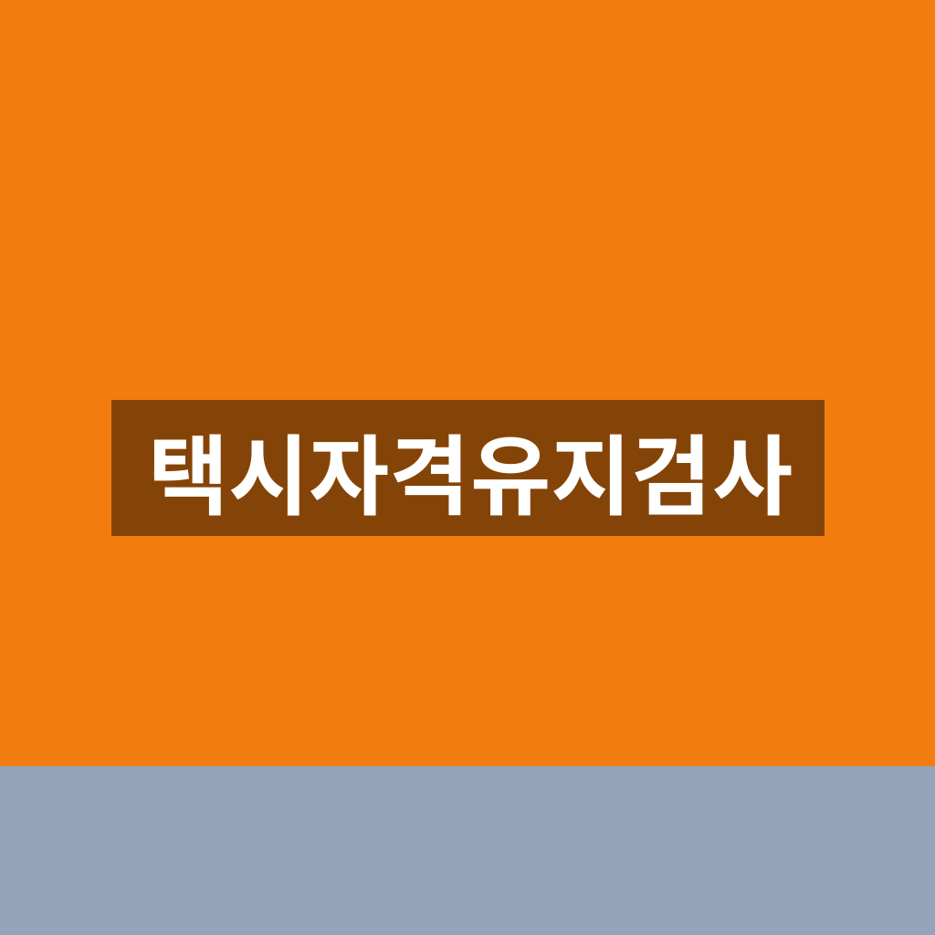 택시자격유지검사