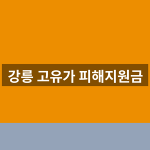 강릉 고유가 피해지원금 홈페이지 신청 1분만에 찾는법