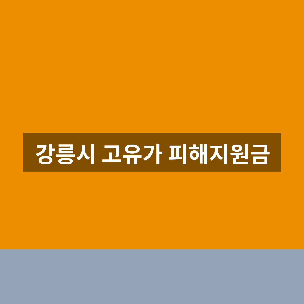강릉시 고유가 피해지원금