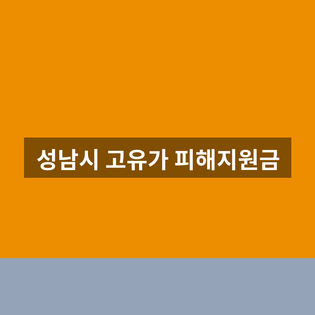 성남시 고유가 피해지원금