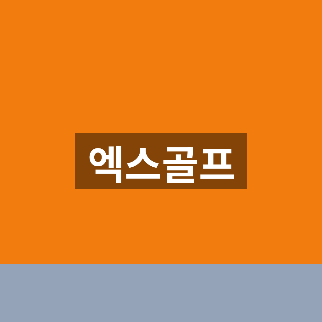엑스골프