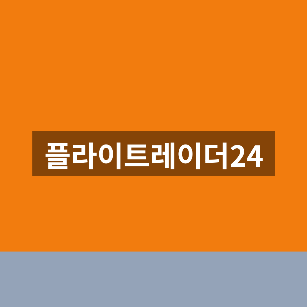 플라이트레이더24