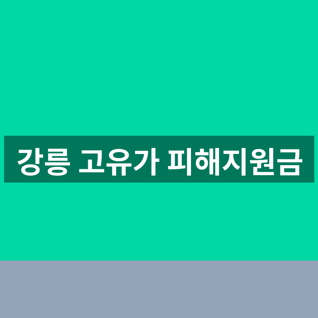 강릉 고유가 피해지원금