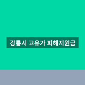 강릉시 고유가 피해지원금 사용처 1분만에 찾는법