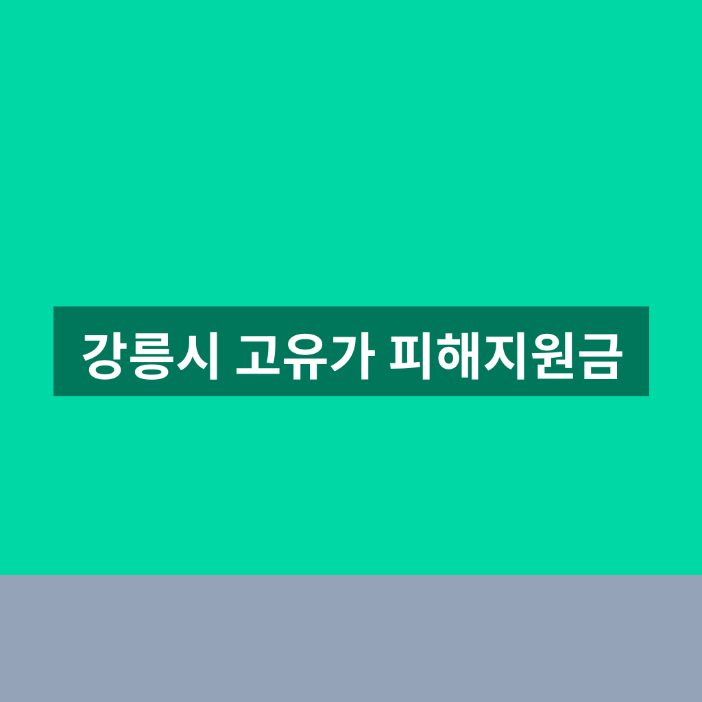 강릉시 고유가 피해지원금