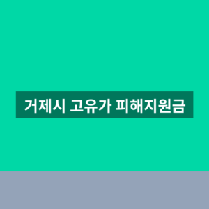 거제시 고유가 피해지원금 홈페이지 신청 1분만에 찾는법