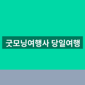 굿모닝여행사 당일여행 예약 1분만에 찾는법