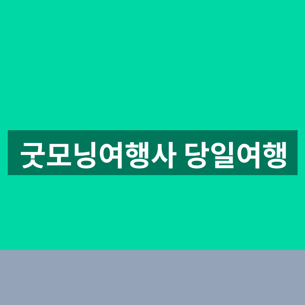 굿모닝여행사 당일여행