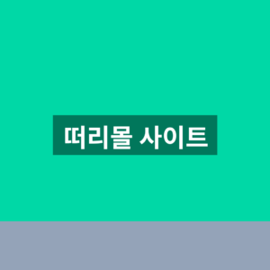 떠리몰 사이트 바로가기 할인 상품 1분만에 찾는법