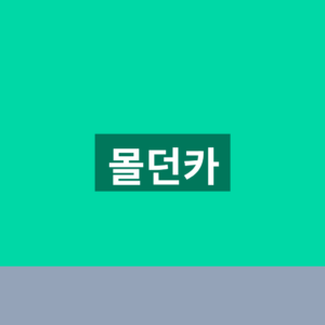 몰던카 홈페이지 바로가기 차량 조회 1분만에 찾는법