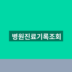 병원진료기록조회 바로가기 진료내역 1분만에 찾는법