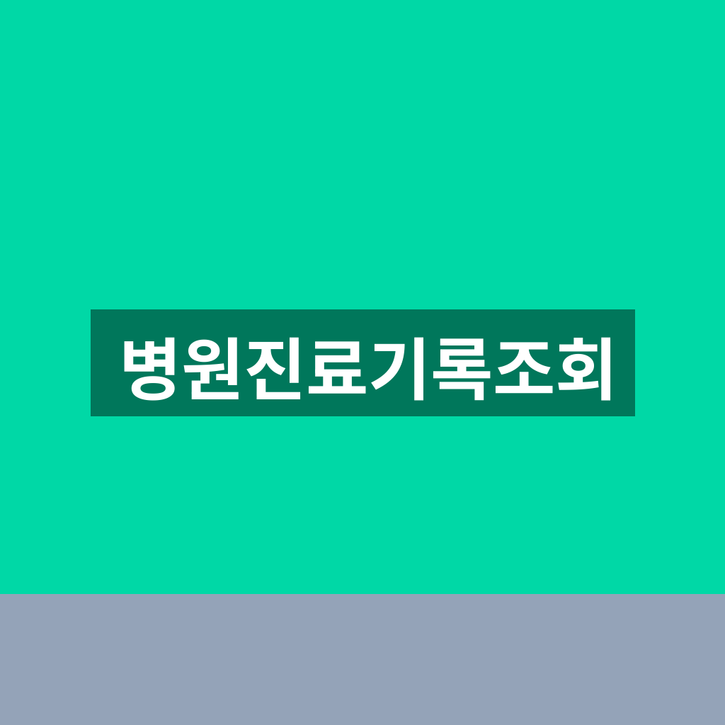 병원진료기록조회