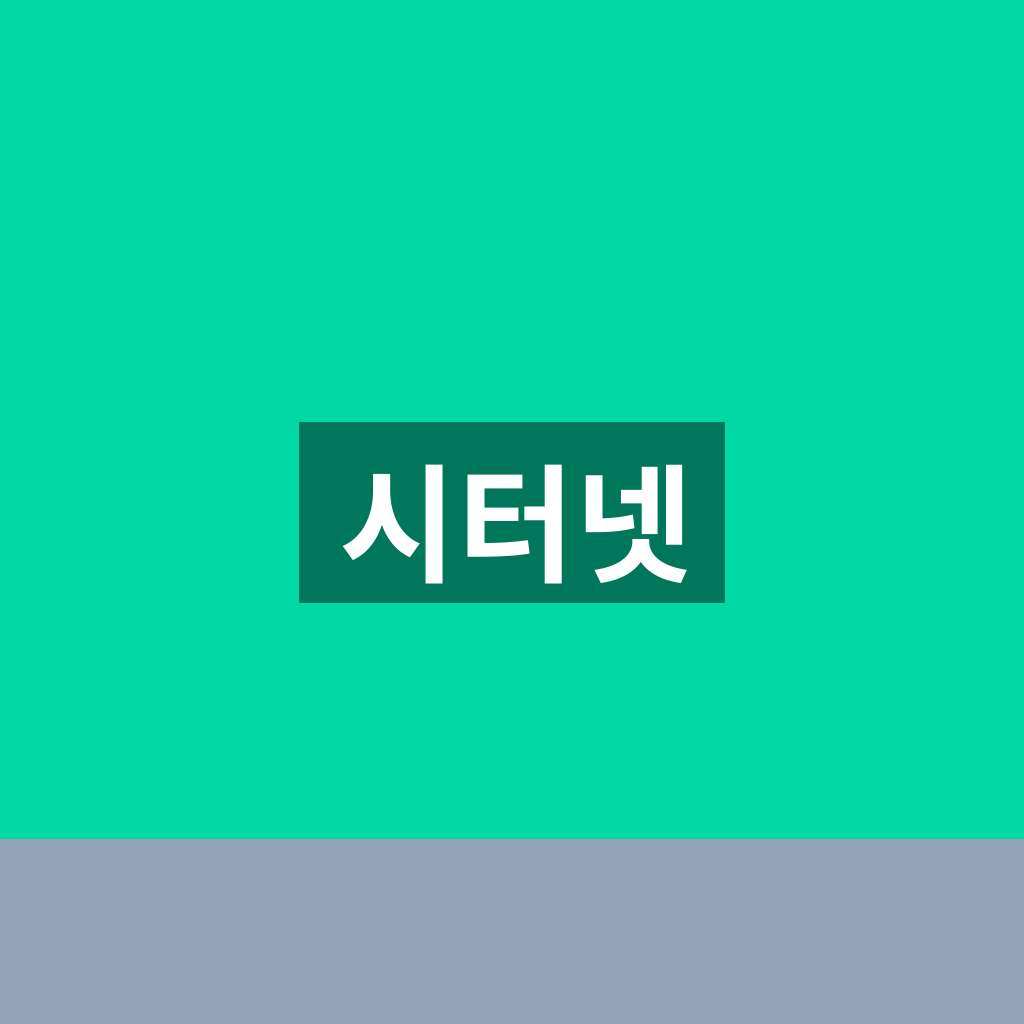 시터넷