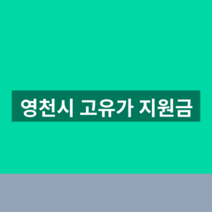 영천시 고유가 지원금 홈페이지 신청 1분만에 보는법