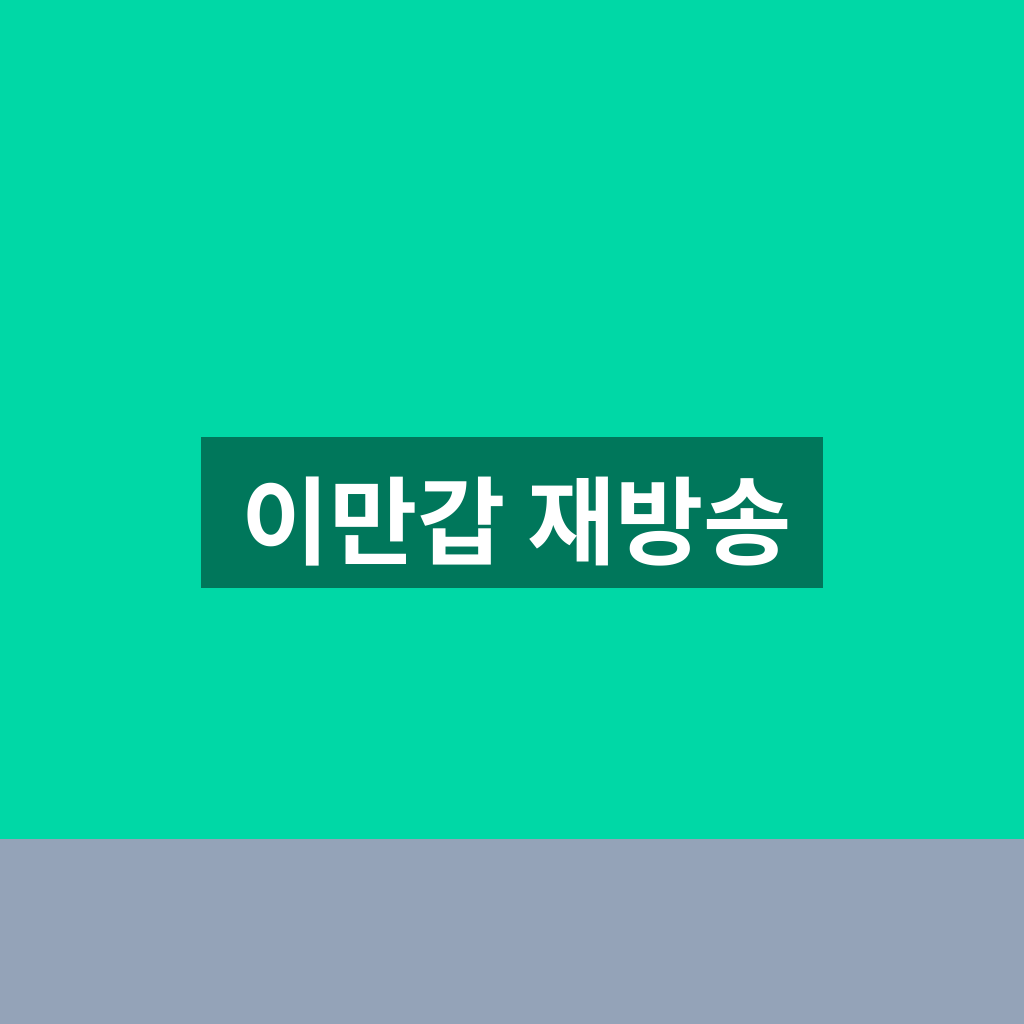 이만갑 재방송