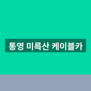통영 미륵산 케이블카 예매 1분만에 확인하는법