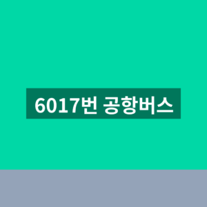 6017번 공항버스 시간표 예매 1번 확인법 5 6017번 공항버스