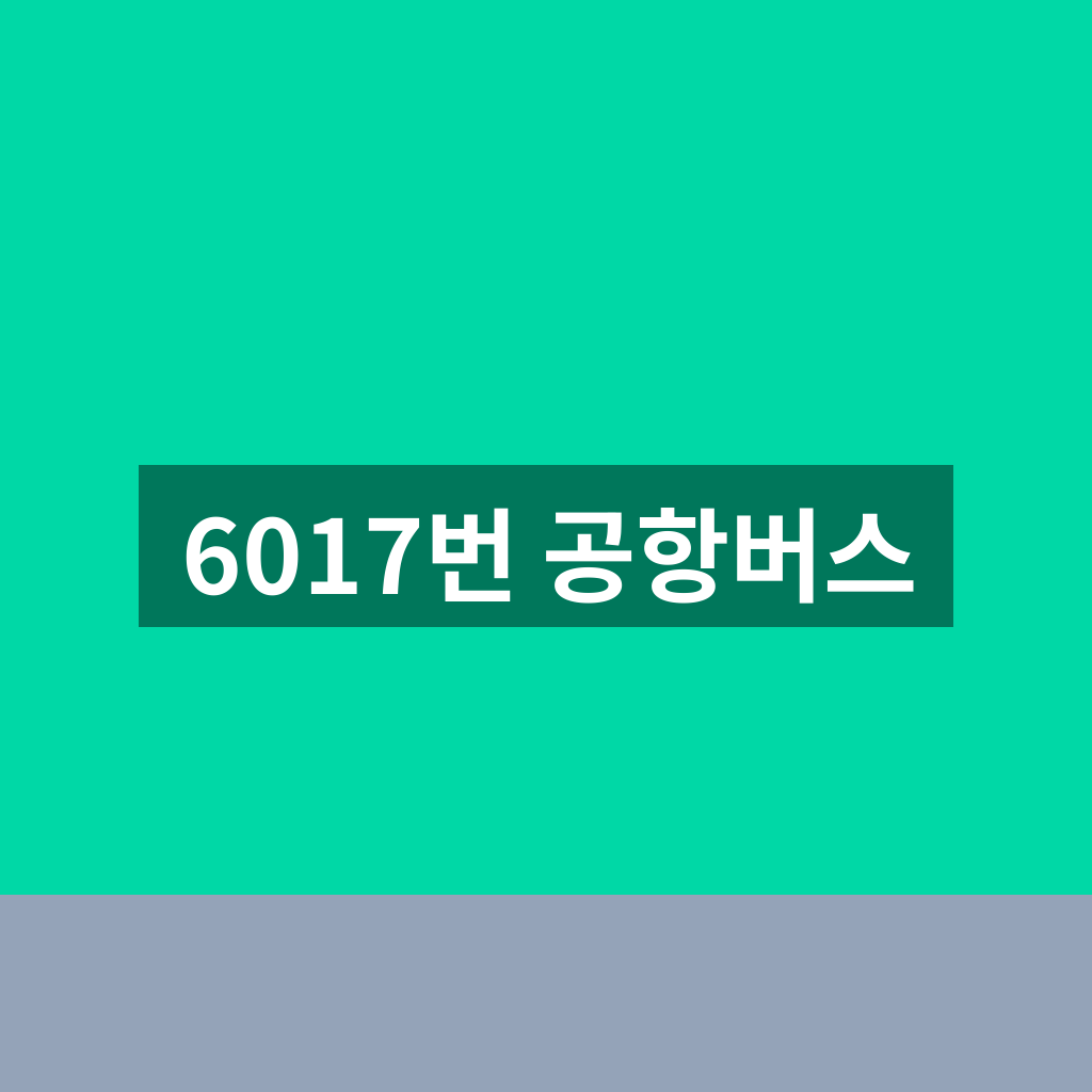 6017번 공항버스