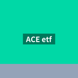 ACE ETF 서포터즈 운용사 뜻 1분 확인법